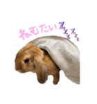 うさぎのマロン♡たまにショコラ♡（個別スタンプ：39）