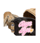 うさぎのマロン♡たまにショコラ♡（個別スタンプ：40）