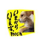 mocaがしゃべるよ。（個別スタンプ：2）