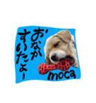 mocaがしゃべるよ。（個別スタンプ：3）