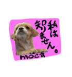 mocaがしゃべるよ。（個別スタンプ：4）