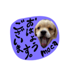 mocaがしゃべるよ。（個別スタンプ：7）