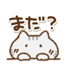 でか文字でかねこ(アメショ)①（個別スタンプ：1）