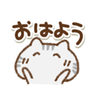 でか文字でかねこ(アメショ)①（個別スタンプ：34）