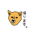 お犬さまさま。(ふちあり)（個別スタンプ：3）