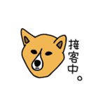 お犬さまさま。(ふちあり)（個別スタンプ：4）