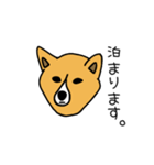 お犬さまさま。(ふちあり)（個別スタンプ：7）