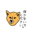 お犬さまさま。(ふちあり)（個別スタンプ：12）