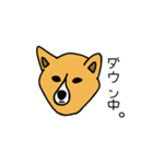 お犬さまさま。(ふちあり)（個別スタンプ：20）