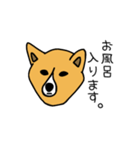 お犬さまさま。(ふちあり)（個別スタンプ：23）