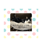 ジジandリリィ（個別スタンプ：4）