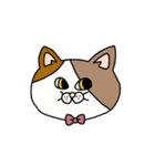 ねこ（かお）（個別スタンプ：1）