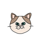 ねこ（かお）（個別スタンプ：3）