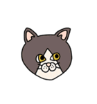 ねこ（かお）（個別スタンプ：11）