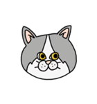 ねこ（かお）（個別スタンプ：12）