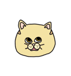 ねこ（かお）（個別スタンプ：13）