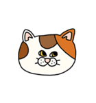 ねこ（かお）（個別スタンプ：19）