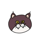 ねこ（かお）（個別スタンプ：22）