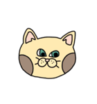ねこ（かお）（個別スタンプ：23）