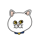 ねこ（かお）（個別スタンプ：28）