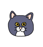 ねこ（かお）（個別スタンプ：30）