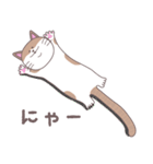 まいにちにゃん丸（個別スタンプ：1）