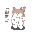 まいにちにゃん丸（個別スタンプ：2）