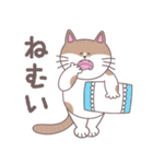 まいにちにゃん丸（個別スタンプ：5）