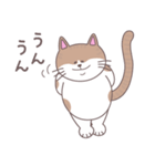 まいにちにゃん丸（個別スタンプ：7）