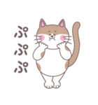 まいにちにゃん丸（個別スタンプ：11）
