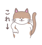 まいにちにゃん丸（個別スタンプ：13）