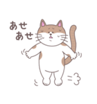 まいにちにゃん丸（個別スタンプ：18）