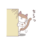 まいにちにゃん丸（個別スタンプ：22）