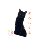 黒猫ブラザーズの日常2（個別スタンプ：2）