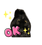 黒猫ブラザーズの日常2（個別スタンプ：4）