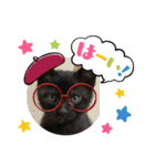 黒猫ブラザーズの日常2（個別スタンプ：5）
