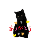 黒猫ブラザーズの日常2（個別スタンプ：6）