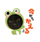 黒猫ブラザーズの日常2（個別スタンプ：14）