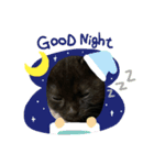 黒猫ブラザーズの日常2（個別スタンプ：16）