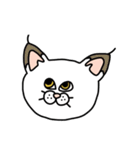 ねこ（かお2）（個別スタンプ：14）