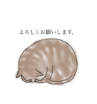 猫アソート ①（個別スタンプ：1）