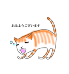 猫アソート ①（個別スタンプ：5）