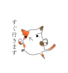 猫アソート ①（個別スタンプ：6）