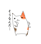 猫アソート ①（個別スタンプ：12）