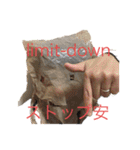 二カ国語 ビニール袋マン国際派投資家向け（個別スタンプ：19）