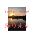 二カ国語 ビニール袋マン国際派投資家向け（個別スタンプ：40）