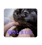 あんちゃん天使（個別スタンプ：2）