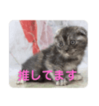 あんちゃん天使（個別スタンプ：3）