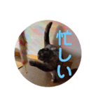 あんちゃん天使（個別スタンプ：4）