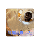 あんちゃん天使（個別スタンプ：7）